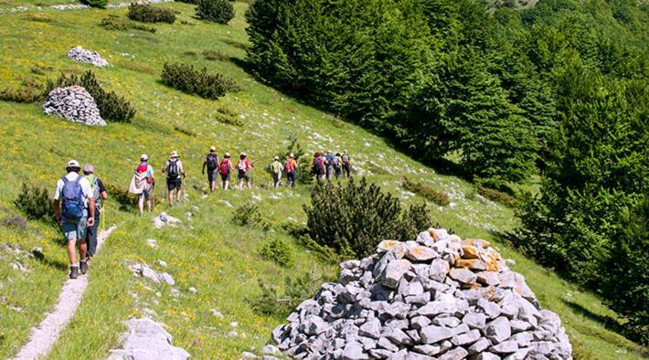 Dolce Risveglio Bed & Breakfast San Valentino in Abruzzo Citeriore Ngoại thất bức ảnh